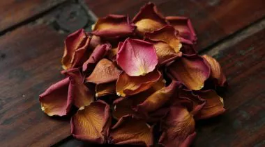 garnishing-instructions-image